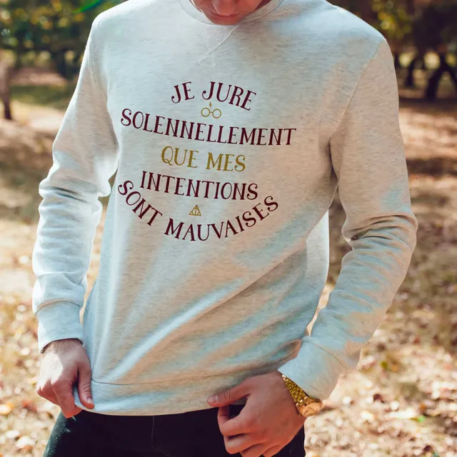 Juste Un T-shirt Sweats Imprimés Je jure solennellement sweat-shirt homme