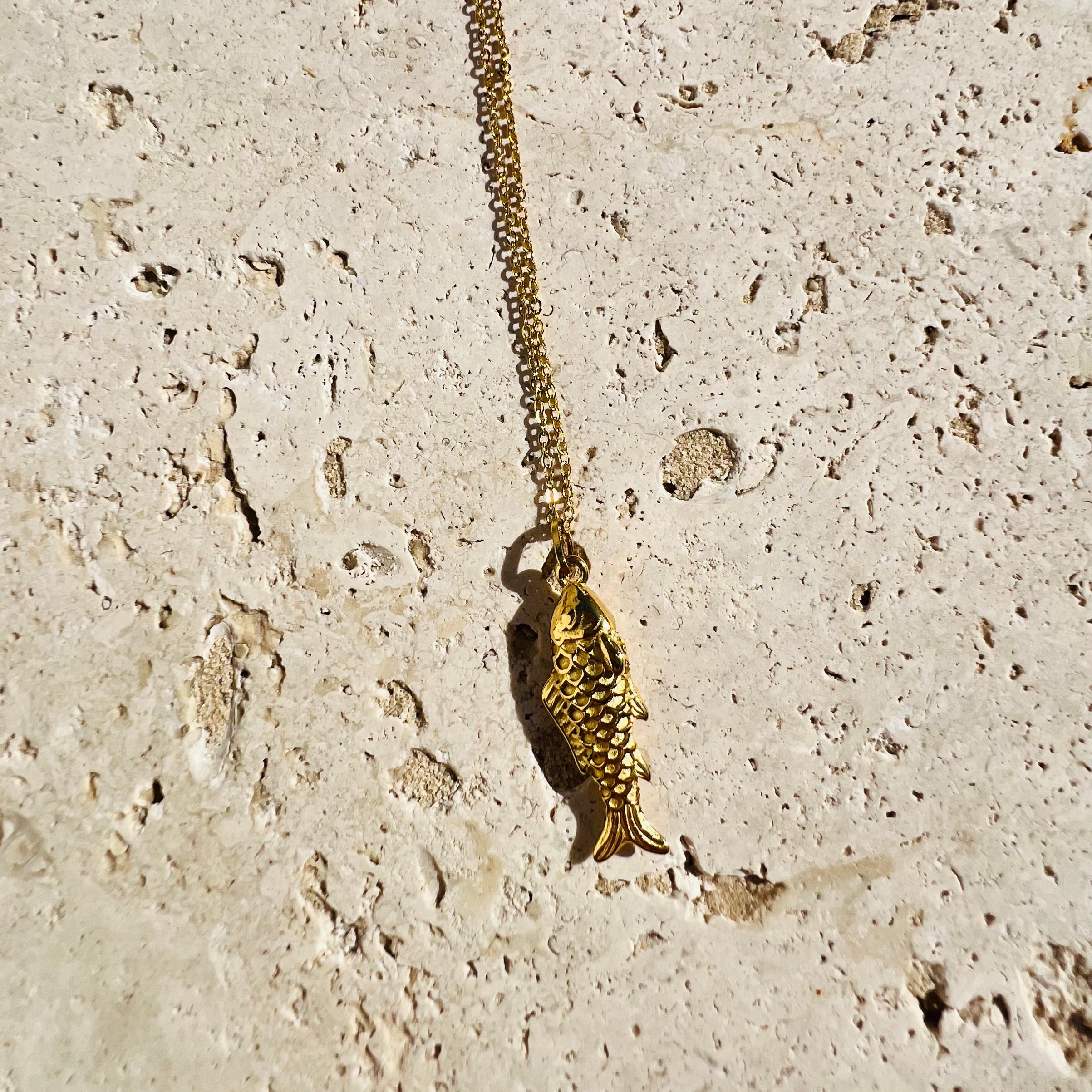 PANTRUCHE Colliers FISH collier poisson en acier inoxydable
