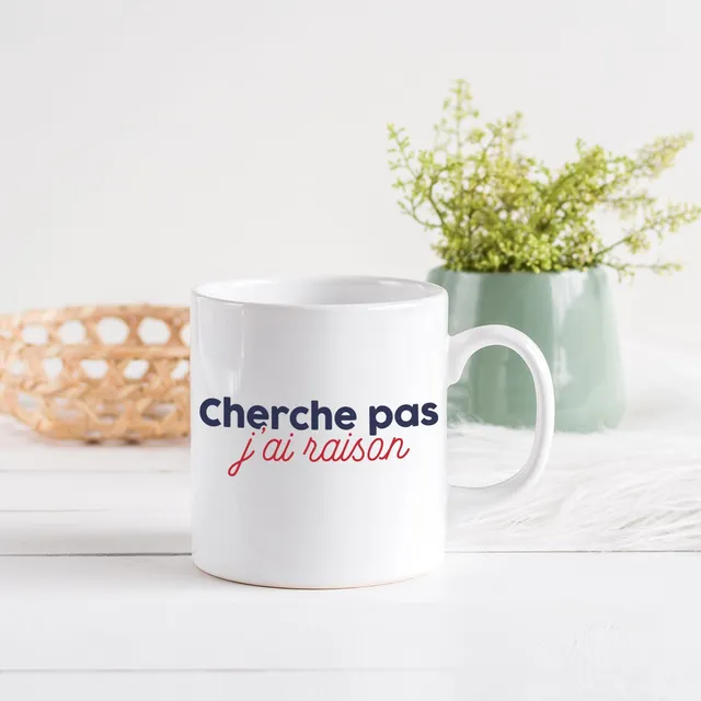 Juste Un T-shirt Mugs Cherche pas j'ai raison mug humour