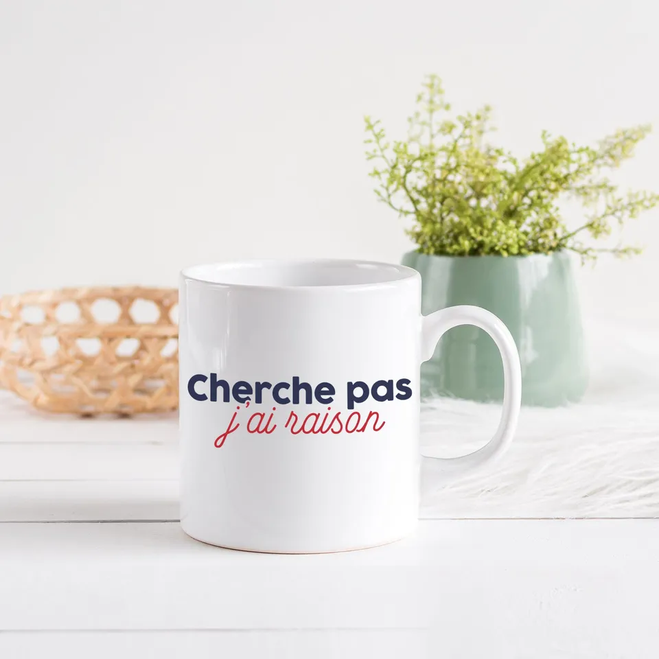 Juste Un T-shirt Mugs Cherche pas j'ai raison mug humour