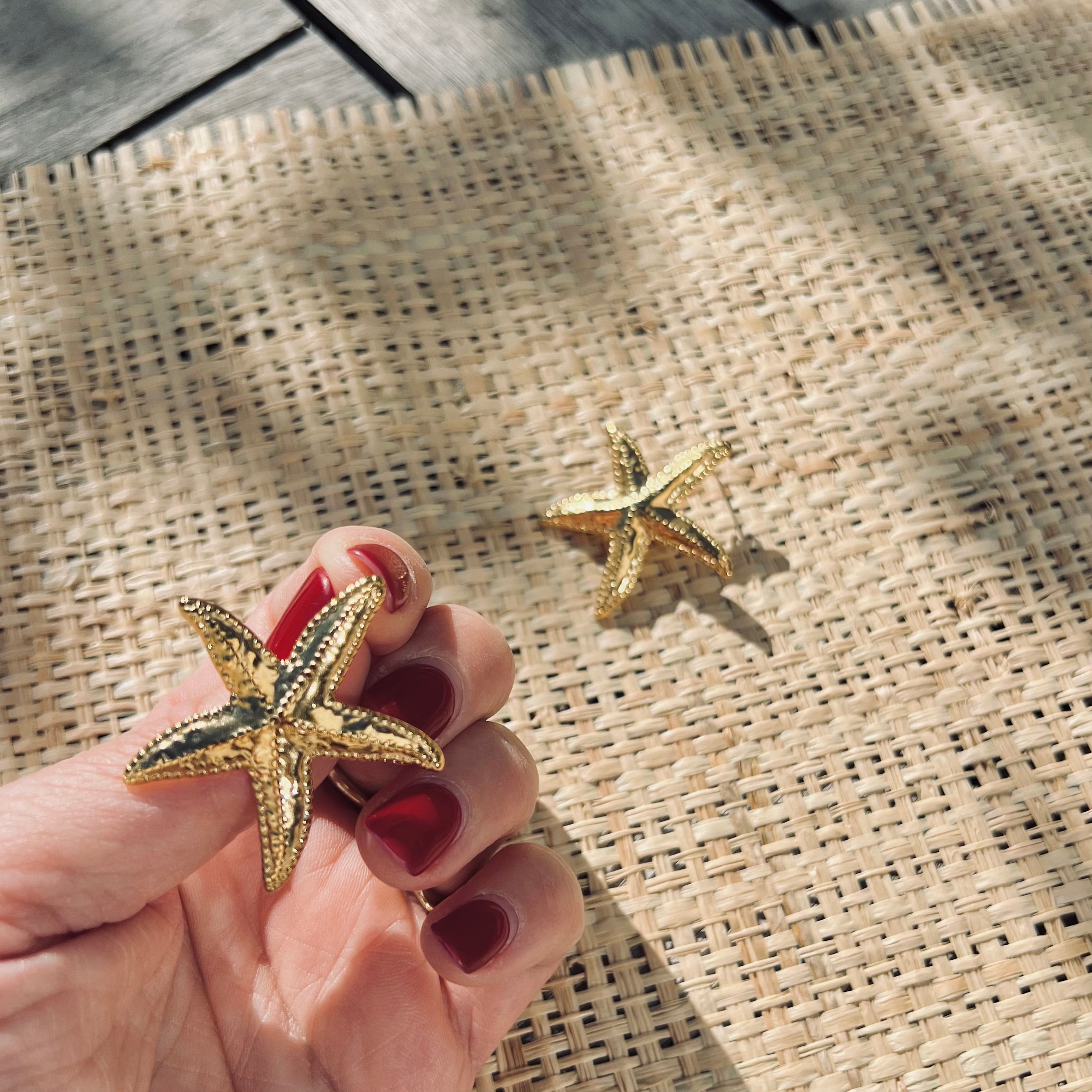 PANTRUCHE Boucles d'oreilles Etoile LUZ dorées en acier inoxydable
