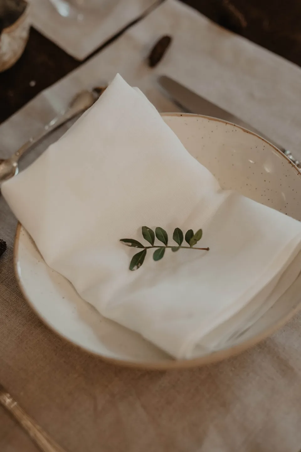 Laumė linen Home Edit serviettes en lin lot de 2 naturelles