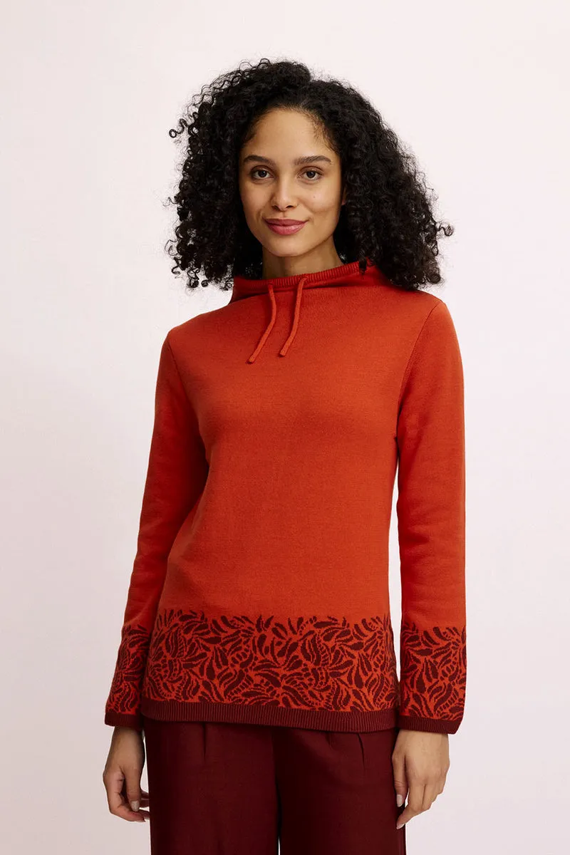 Sourire Multicolore Pulls pull jacquard coton bio rooibos GOTS