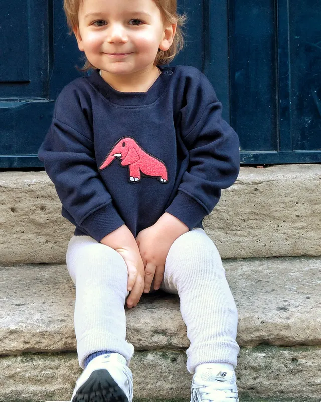 Juste Un T-shirt Bébé Sweat Brodé Bébé Éléphant sweat gris chiné coton bio