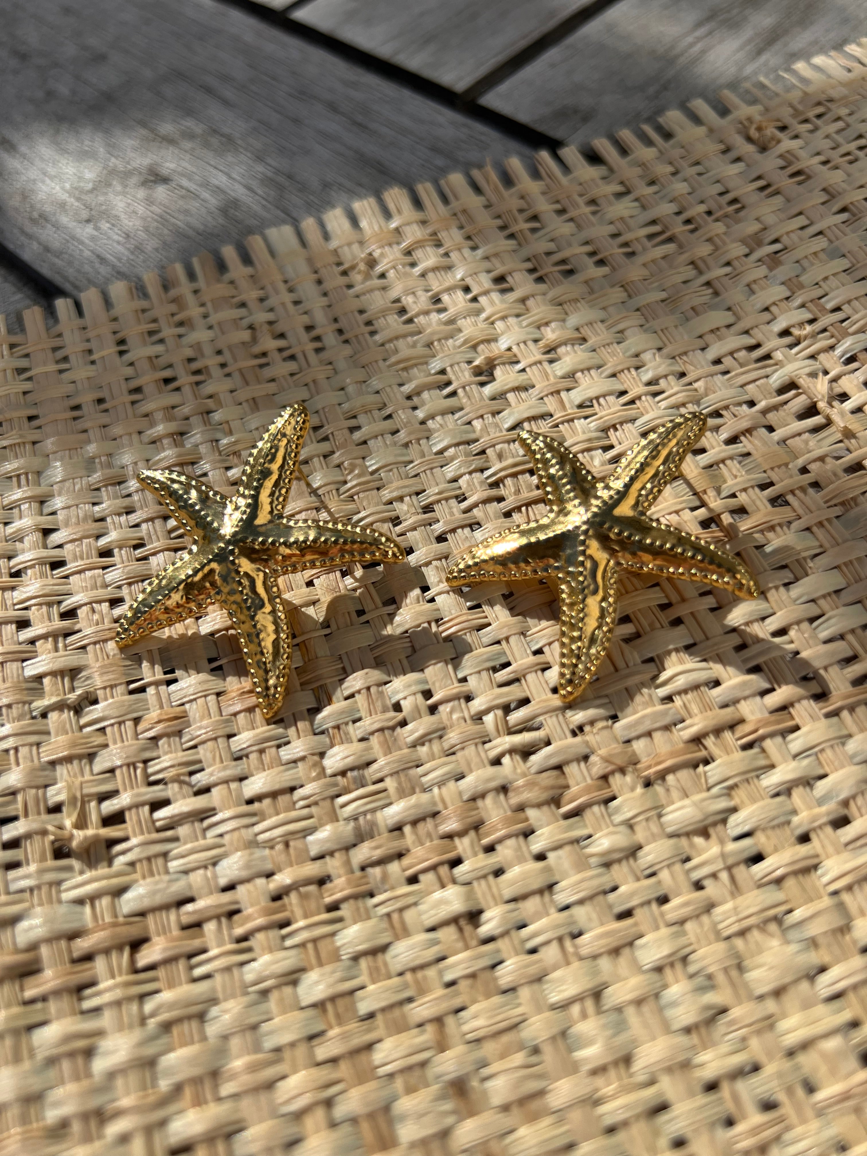 PANTRUCHE Boucles d'oreilles Etoile LUZ dorées en acier inoxydable