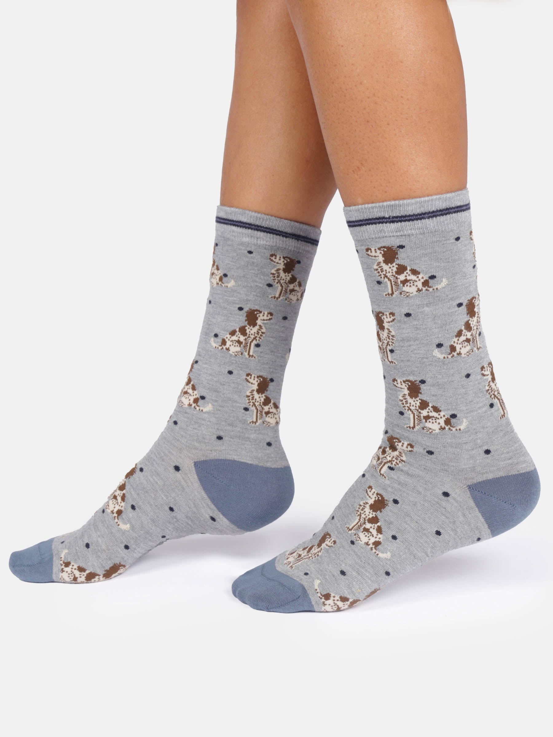Sourire Multicolore Chaussettes femme chien Springer Spaniel bambou 37/40,5